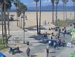 Club water at the sidewalk cafe 1401 ocean walk, venice beach. Sidewalk Cafe Webcam In Venice Beach Live Beaches