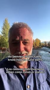 Disabled Artist Explains Nature vs. Nurture in Psychology