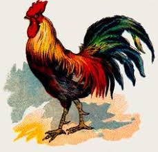 Who are the chicken's enemies? 28 Printable Ideas Chicken Art Rooster Chickens And Roosters