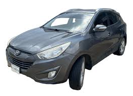 Image result for Gris 1995 Fleet