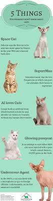 According to a survey conducted by american pet product manufacturers association (appma), there are approximately 73 million cats in houses through out. 5 Things You Probably Didn T Know About Cats Visual Ly