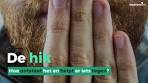 De hik hoe ontstaat het en helpt er iets tegen? - YouTube