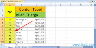 Maybe you would like to learn more about one of these? Cara Membuat Nomor Otomatis Di Excel Praktis Semutimut Tutorial Hp Dan Komputer Terbaik