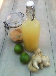 Boisson Au Gingembre Sans Alcool Recette Boisson Au Gingembre Recettes De Boissons Recettes De Cuisine