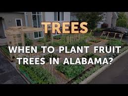 Find the best dates for planting and transplanting vegetables and fruit! When To Plant Fruit Trees In Alabama Youtube