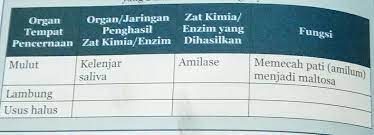 Selain itu, kamu juga bisa cek harga terbaru lks ips kelas 8 dan diurutkan dari harga yang termurah! Tolong Ya Besok Kumpul Ipa Halaman 192 Brainly Co Id