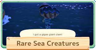 Animal crossing new horizons guide by gamepressure.com. Animal Crossing Rare Sea Creatures List How To Find Acnh Gamewith