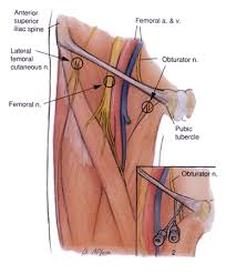 Maybe you would like to learn more about one of these? Piriformis