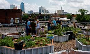 Craigslist okc (oklahoma) city jobs and houses for rent posted: Urban Farms And Gardens Eco News Network