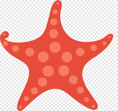 template gift card rxe9sumxe9 starfish