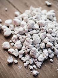 Check spelling or type a new query. How To Use Perlite To Improve Soil And Boost Plant Growth Garden Betty