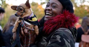 Costumes aren't just for kids. Pets get tricked out this Halloween