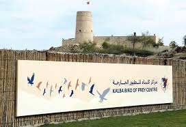 مركز كلباء للطيور الجارحة ينظم مبادرة رحلة نحو الاكتشاف