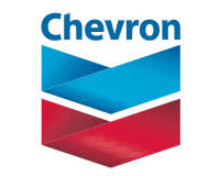 Elcosh Chevrons Dropped Object Prevention Program