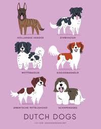 超可愛 世界犬種圖鑒 台灣土狗被列入其中喲 溫馨生活分享版 citytalk城市通 dog breeds dog drawing dog print art