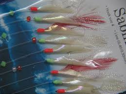 Image result for Sabicea dinklagei