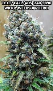 The chunks of hash normally weigh around 5 grammes. Moonrock Gelato Hash And More Cannabis Menu By Buyweed2 Cannabis In Jefferson Wa Leafedout Com