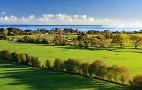 Yellow sky pattern, sand mountain distant landscape grass field illustration, lawn graphy, ground, landscape, grass png. Wallpaper Sea Greens The Sky Grass Water Clouds Light Trees Landscape Nature Home Shadow Light Grass Sky Trees Images For Desktop Section Priroda Download