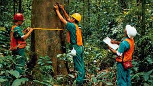 Hutan yang merupakan anugerah tuhan memainkan peranan besar dalam mengekalkan kestabilan bumi secara langsung. Manajemen Pengelolaan Hutan Lestari Atau Management Of Sustainable Forest Management Dr Arif Zulkifli Nasution