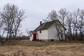 The Cowboy and The School