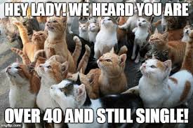 Image Tagged In Demotivationals Cats Imgflip