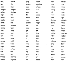 shravya sharma cbse class 6 hindi grammar shabd bhandar