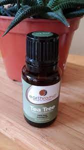 Aceite De Arbol De Te Propiedades Para Que Sirve Y Como Usar Mis Aceititos Tea Tree Oil Tea Tree Oils For Skin