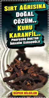 Sirt Agrisina Dogal Cozum Kuru Karanfil Bitkisel Tarifler Gida Yiyecek Ve Icecek
