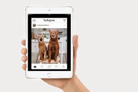 Instragram is a free social media app for sharing Como Podemos Instalar Instagram La Aplicacion Oficial En Ipad Mini Ipad Pro Ipad Aire Como Hacerlo