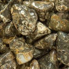 Blue Lace Agate Tumbled Stones, 3/4"