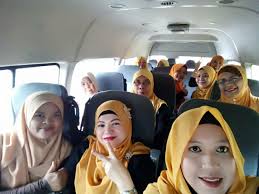 Penternakan lebah kelulut secara komersial penjualan hasil ternakan ebah kelulut seperti madu dan propolis latihan penternakan sarang lebah kelulut penjualan serta penjagaan sarang lebah kelulut. Nova Babylon Melaka Home Facebook