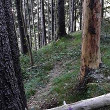 Die quelle befindet sich im bereich der griesbergalm im gemeindegebiet von gries am brenner unterhalb der. Von Tantegert Zum Bergisel Uber Die Sillschlucht Wanderung Outdooractive Com