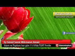 Ey Gonul Senin Mihmanin Amed Muziksiz Ilahi Youtube Inanilmaz Doga Seni Islam
