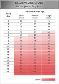 Good To Know Dogs Dog Age Chart Dog Care