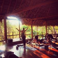 We did not find results for: Wanderlust Meet Dana Rizer Yoga Instructor Food Enthusiast