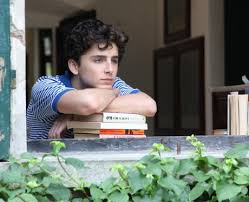 Logan dead, after he discovers the gateway arch in st. Timothee Chalamet Facts You Probably Didn T Know About The Oscar Nominated Star