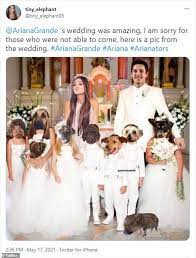 The 7 rings singer just shared a photo dump from her big day earlier this month, when she slid a wedding ring on her new husband, dalton gomez's finger.… visit direct link. Ariana Grande S Fans Post A Throwback Photo Of Her In A Wedding Gown After Marrying Dalton Gomez Daily Mail Online