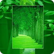 10 background menakjubkan yang setiap desainer grafis wajib punya. Wallpaper Hd Gambar Alam Hijau 4k Latar Belakang Untuk Android Apk Unduh