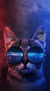 ❤ get the best cool cats wallpapers on wallpaperset. Cool Cat Iphone Wallpaper Cat Phone Wallpaper Iphone Wallpaper Cat Cat Wallpaper