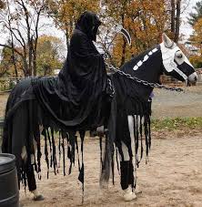 We did not find results for: Halloween Costumes For Horses Creative Ideas For Pet Costumes
