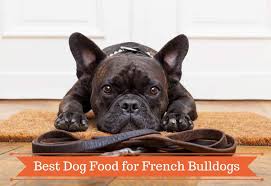 It means that a bowl should be made of durable material that can sustain high. Best Dog Food For French Bulldogs