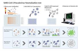 Image result for Neutralization Test