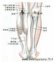 Le Point Wei Zhong Du Meridien De La Vessie 40v En 2020 Acuponcture Point Acupuncture Acupuncture