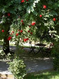 tonnelle fleur jardin jardins tonnelle