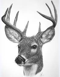Pin On Drawn Drawings
