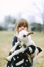 Kid Holding A Kid Goat Baby Lamb Baby Goats Animals For Kids