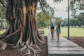 Peserta didik melakukan analisis tentang tata kelola pemerintahan yang baik. Pembangunan Dan Perubahan Fungsi Jalan Bukan Seperti Soal Pilihan Ganda Tah Halaman All Kompasiana Com