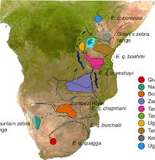 In the group there are places where zebras live today: Sampling Areas For The Identified Plains Zebra Populations In The Download Scientific Diagram
