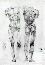 It all comes down to the notion of drawing the human body in the correct manner. Pin By Luna Scamender On Louis Anatomy Sketches Anatomy Drawing Human Anatomy Drawing