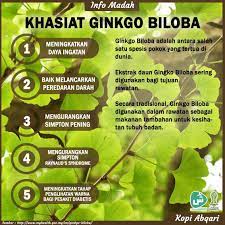 Glycine (глицин).147 мг ginkgo biloba (гинкго билоба, экстракт).13 мг scutellaria baicalensis georgi (шлемник байкальский, экстракт). Facebook